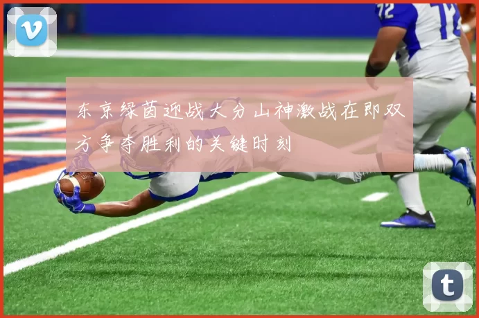 东京绿茵迎战大分山神激战在即双方争夺胜利的关键时刻