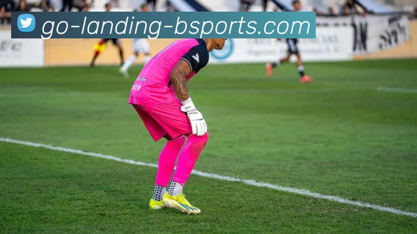 B体育平台生态图