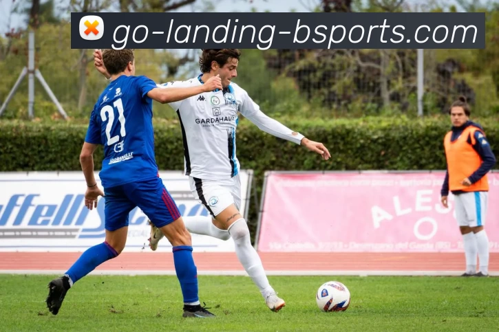 B体育APP 封面图